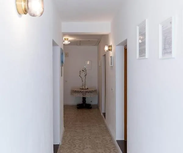 Feral Apartment *