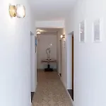 Feral Apartman *