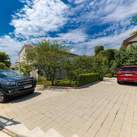 Feral ツリクヴェニツァ