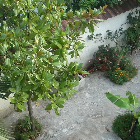 Feral Appartamento Crikvenica