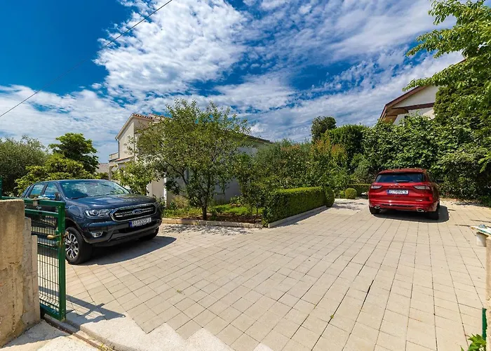 Feral ツリクヴェニツァ