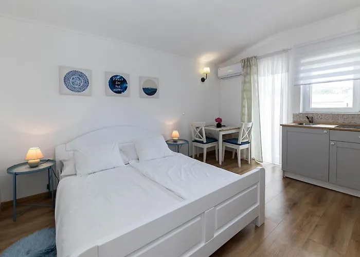 Feral ツリクヴェニツァ