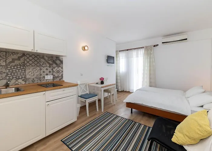 Feral ツリクヴェニツァ