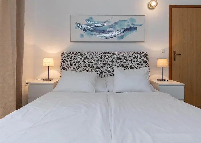 Feral ツリクヴェニツァ