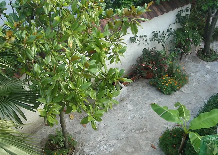 Feral アパート ツリクヴェニツァ