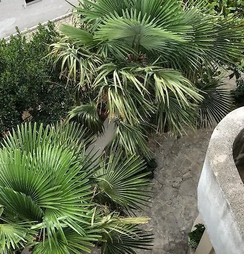 アパート Feral ツリクヴェニツァ